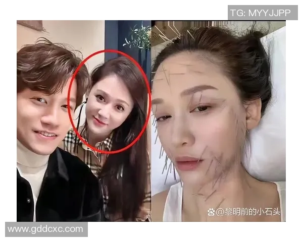 陈乔恩和姚明的年龄对比揭秘两位明星的成长轨迹与人生经历 陈乔恩和姚明的年龄对比揭秘两位明星的成长轨迹与人生经历