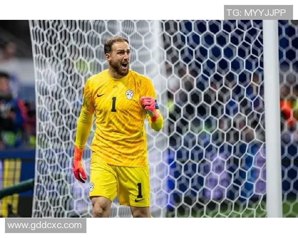 爱上荷兰足球明星的魅力与成就盘点及其对足球的影响