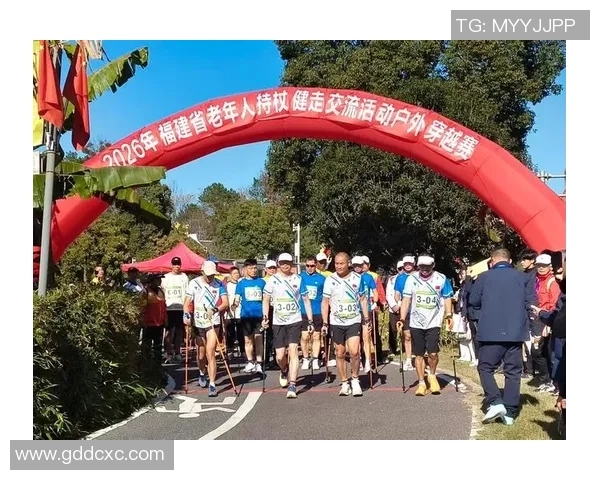 上杭篮球明星的成长之路与荣耀时刻探秘 上杭篮球明星的成长之路与荣耀时刻探秘